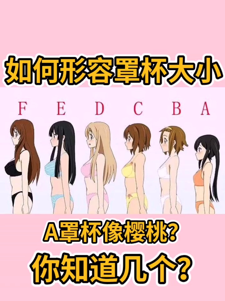 罩杯大小的顺序依次是多少