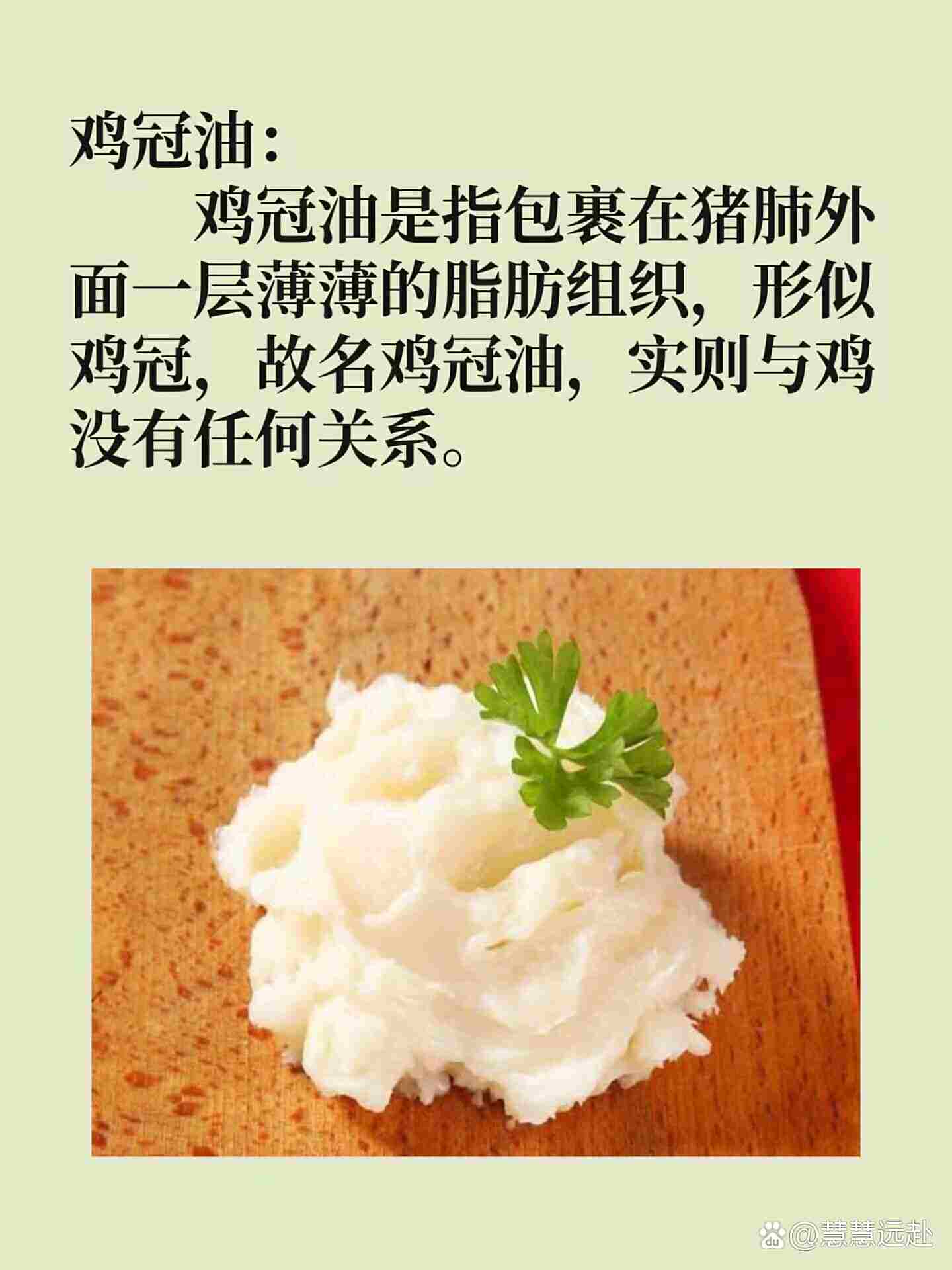 鸡冠油实在猪身上哪个部位的呢