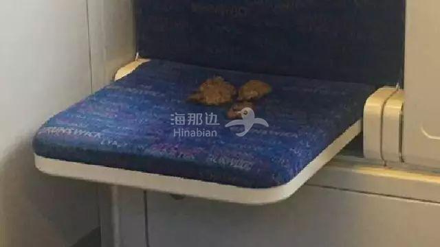 火车上可以拉屎吗洞很小