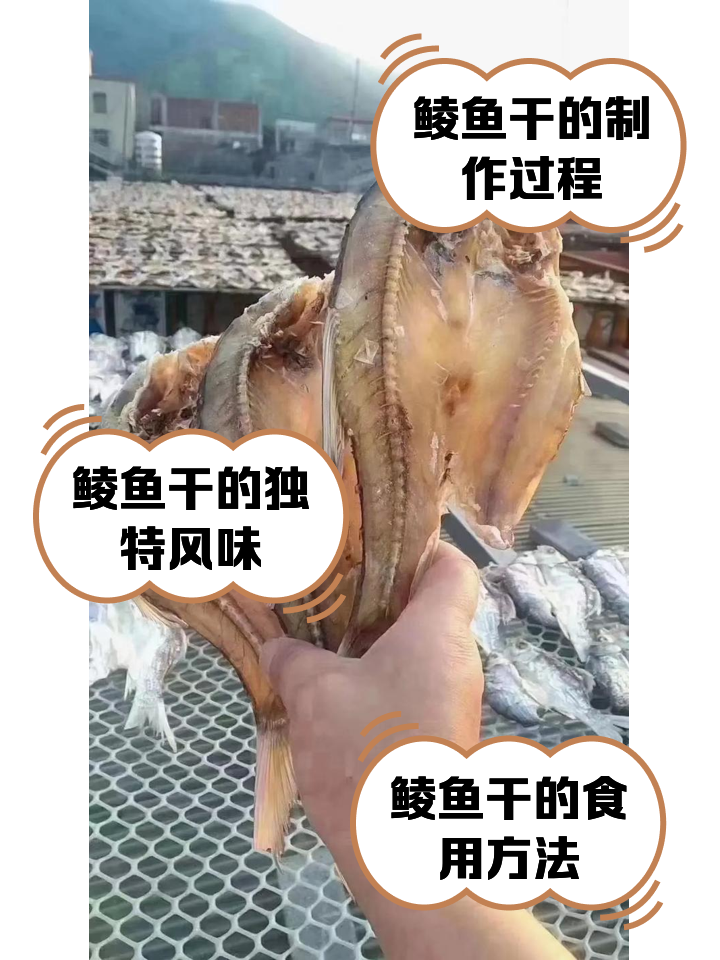 关于鲮鱼的功效和禁忌