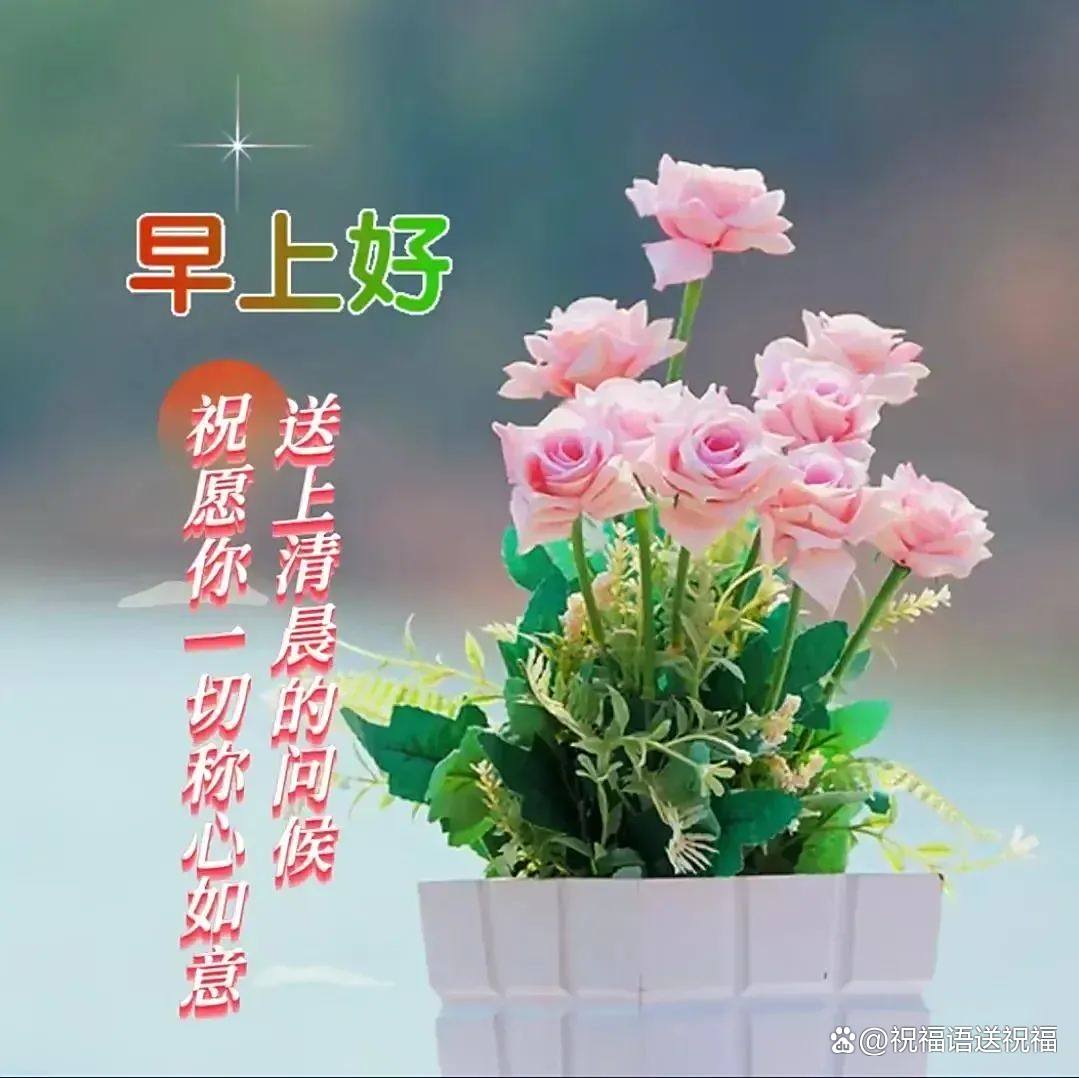 简单的一句关心问候语列述