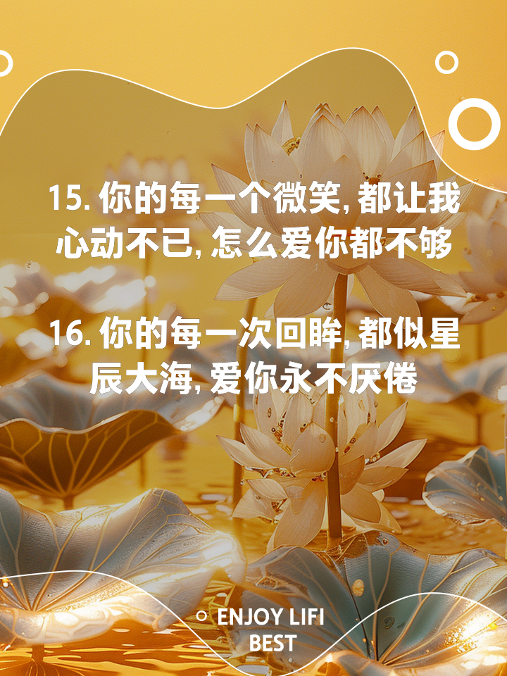 我爱你爱不够怎么爱你都不够原唱是谁