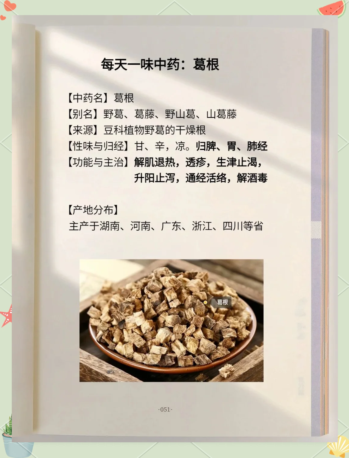 葛根有什么功效和作用