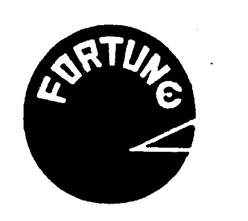 fortune是什么意思中文