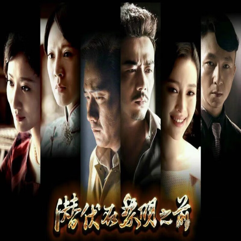 潜伏在黎明之前电视剧介绍