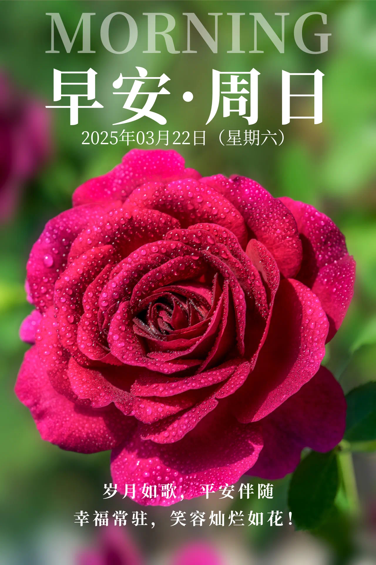 万象更新是什么意思啊