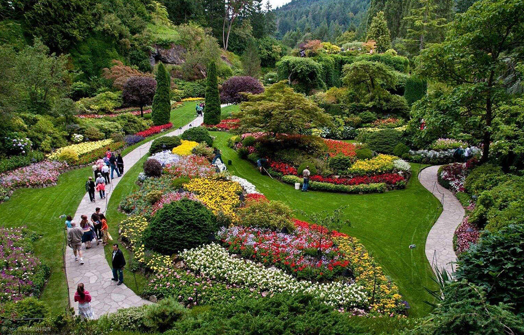 风景园林专业的就业前景怎么样