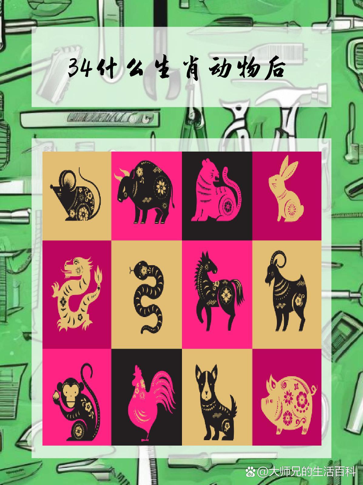 2014年属什么生肖的