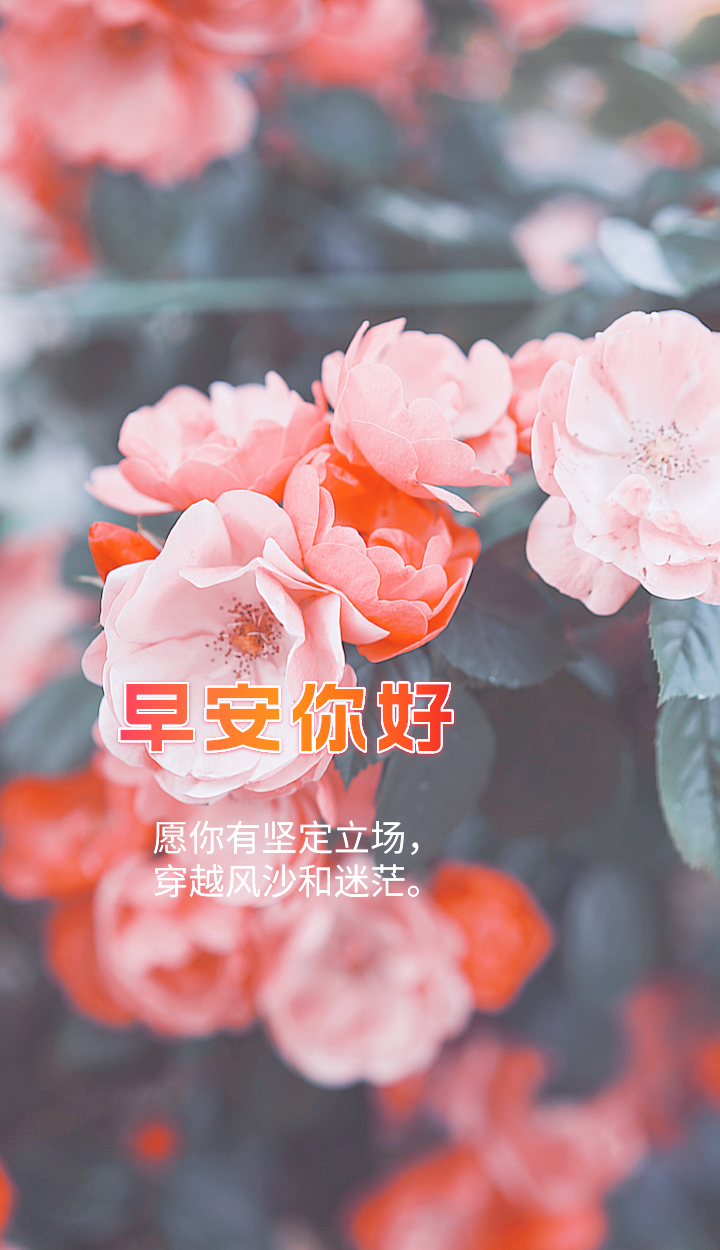 朋友圈说说励志早安有哪些