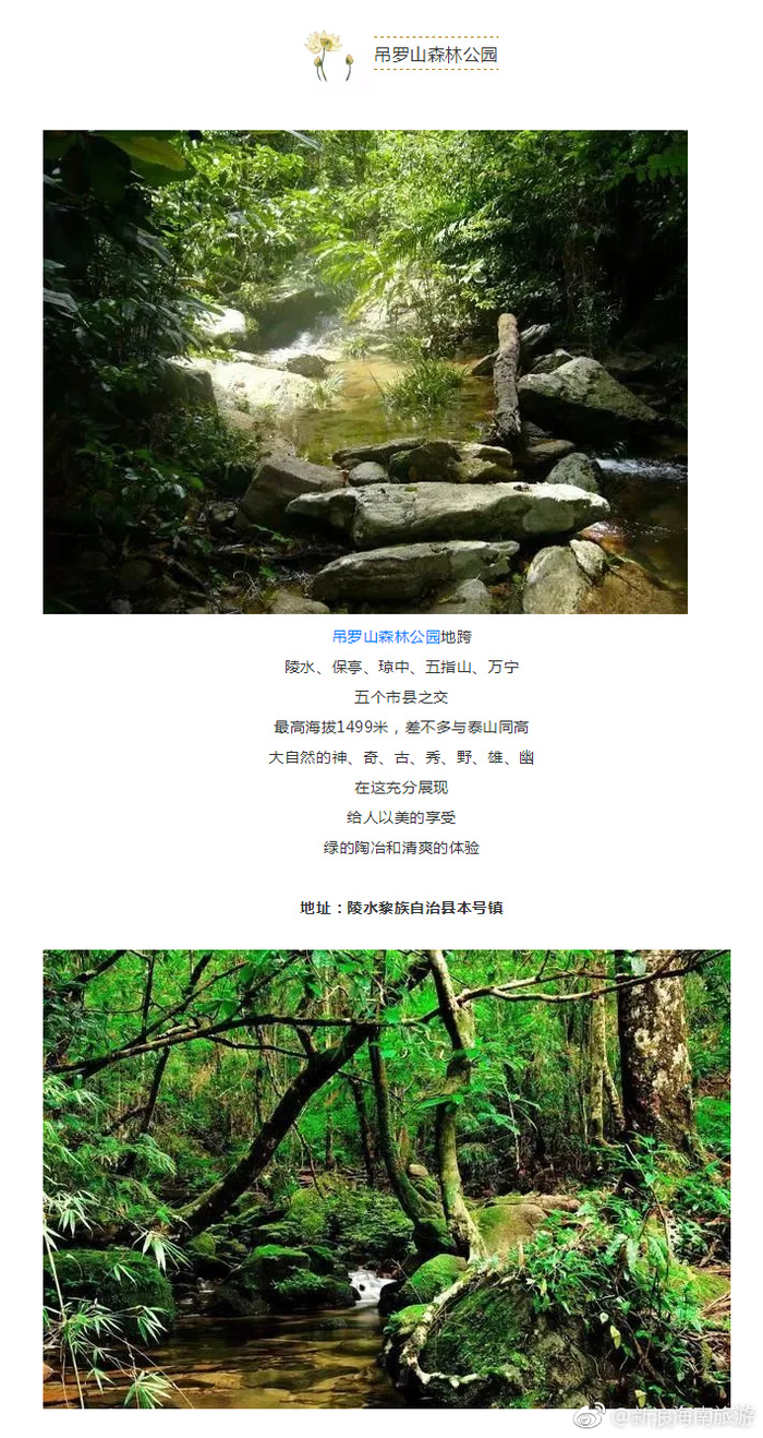 怎么理解流连忘返的意思