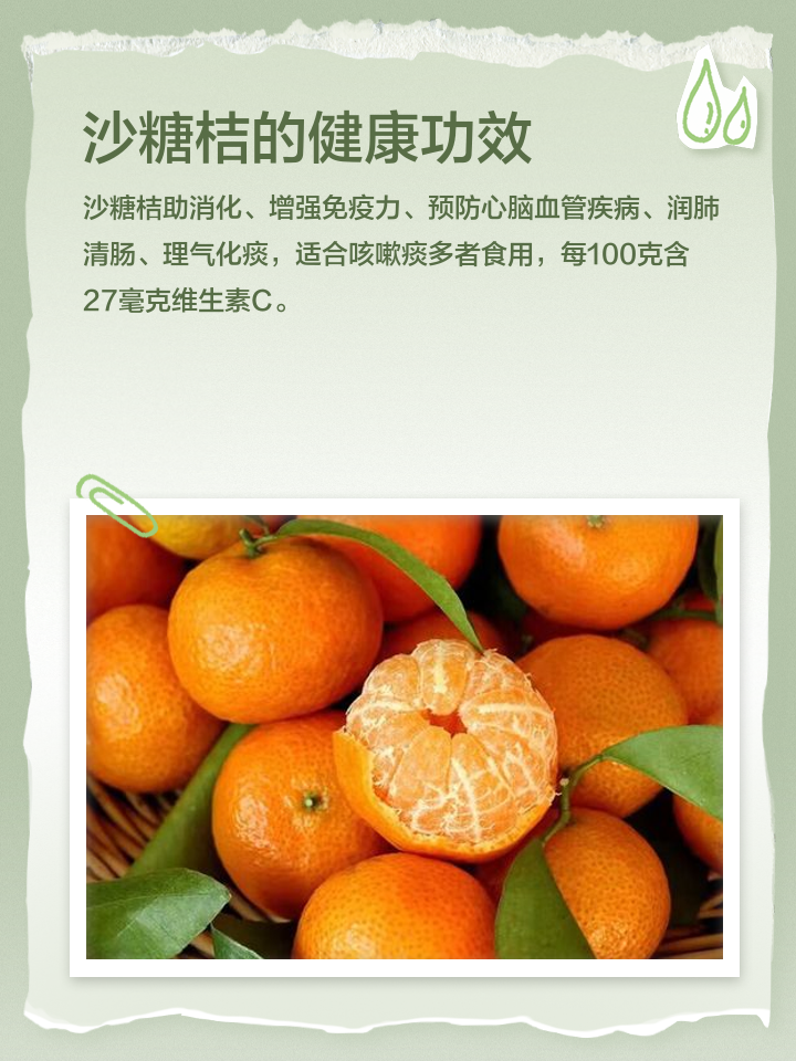 沙糖桔的功效与作用有哪些