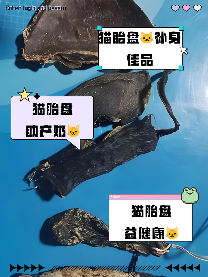 猫胎盘人吃有什么功效与作用