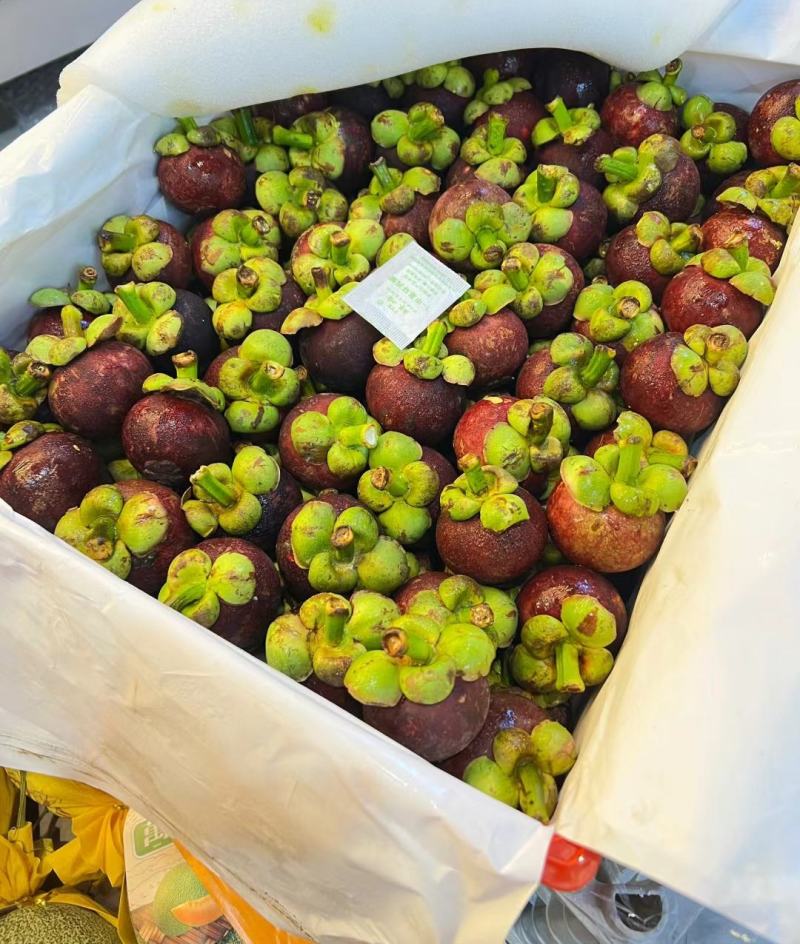 山竹的主要产地在哪里