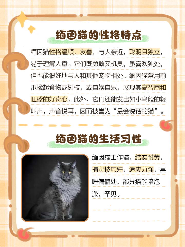 关于猫科动物的资料知识介绍
