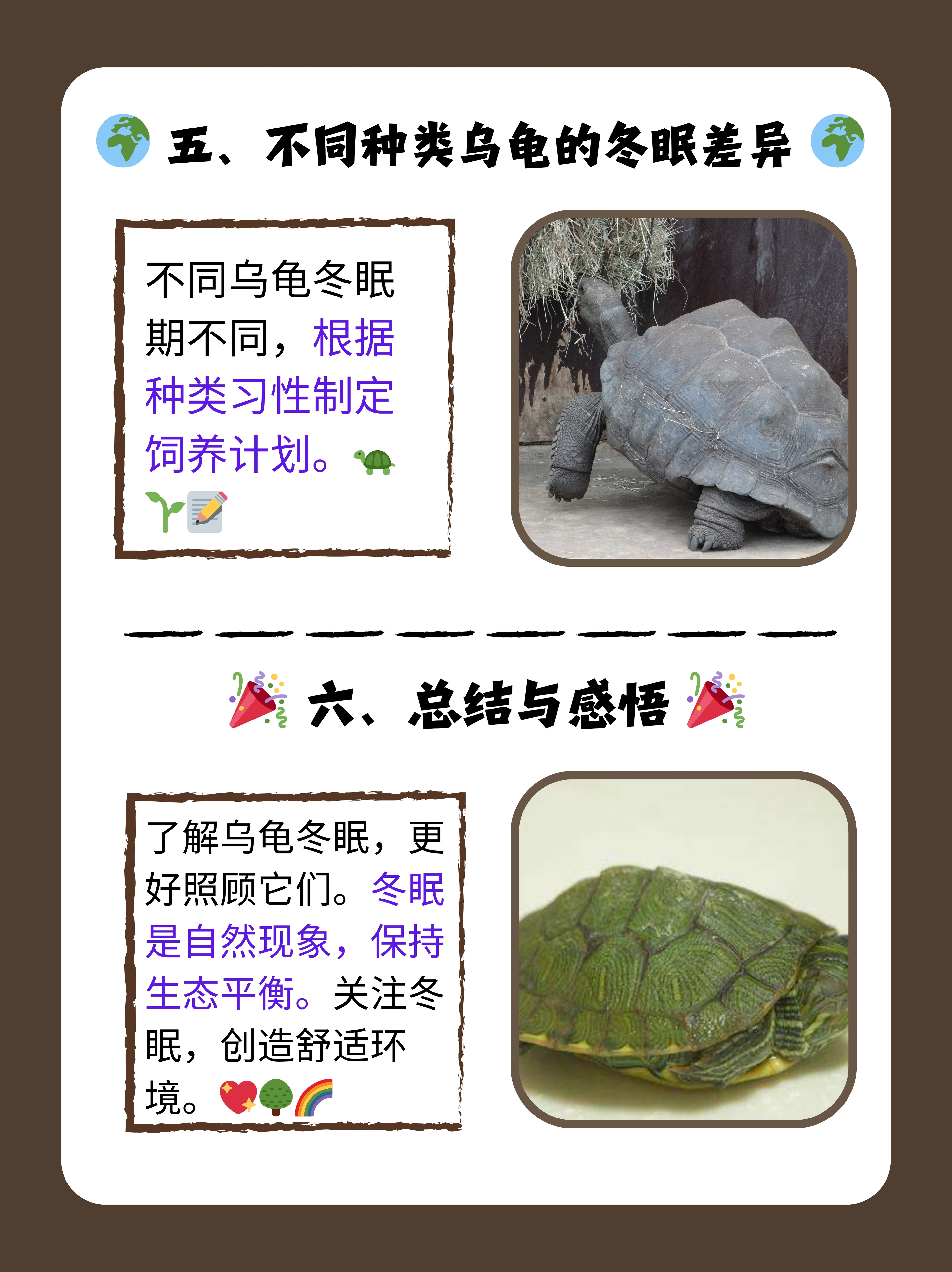 梦见很多乌龟预示着什么