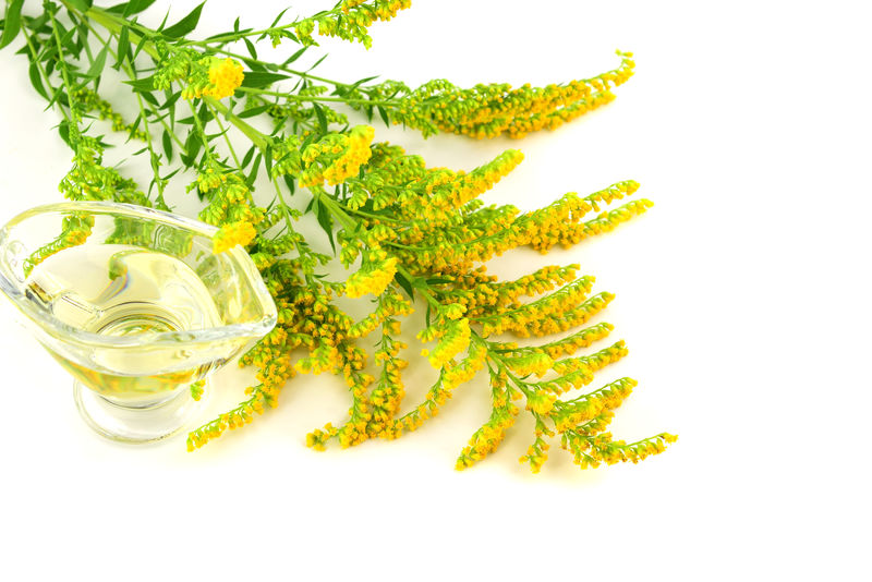 常见的植物提取物有哪些