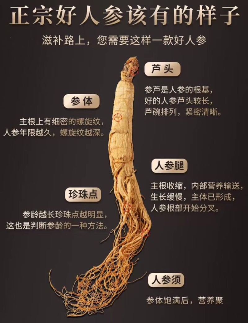 新鲜人参应该怎么晒干