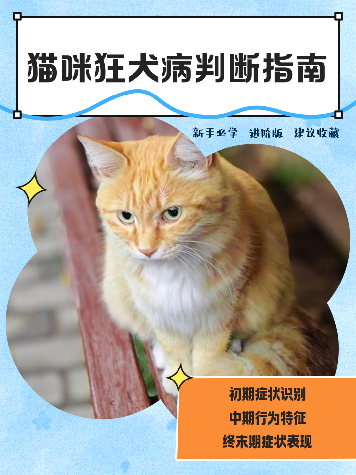 怎么判断猫有没有狂犬病