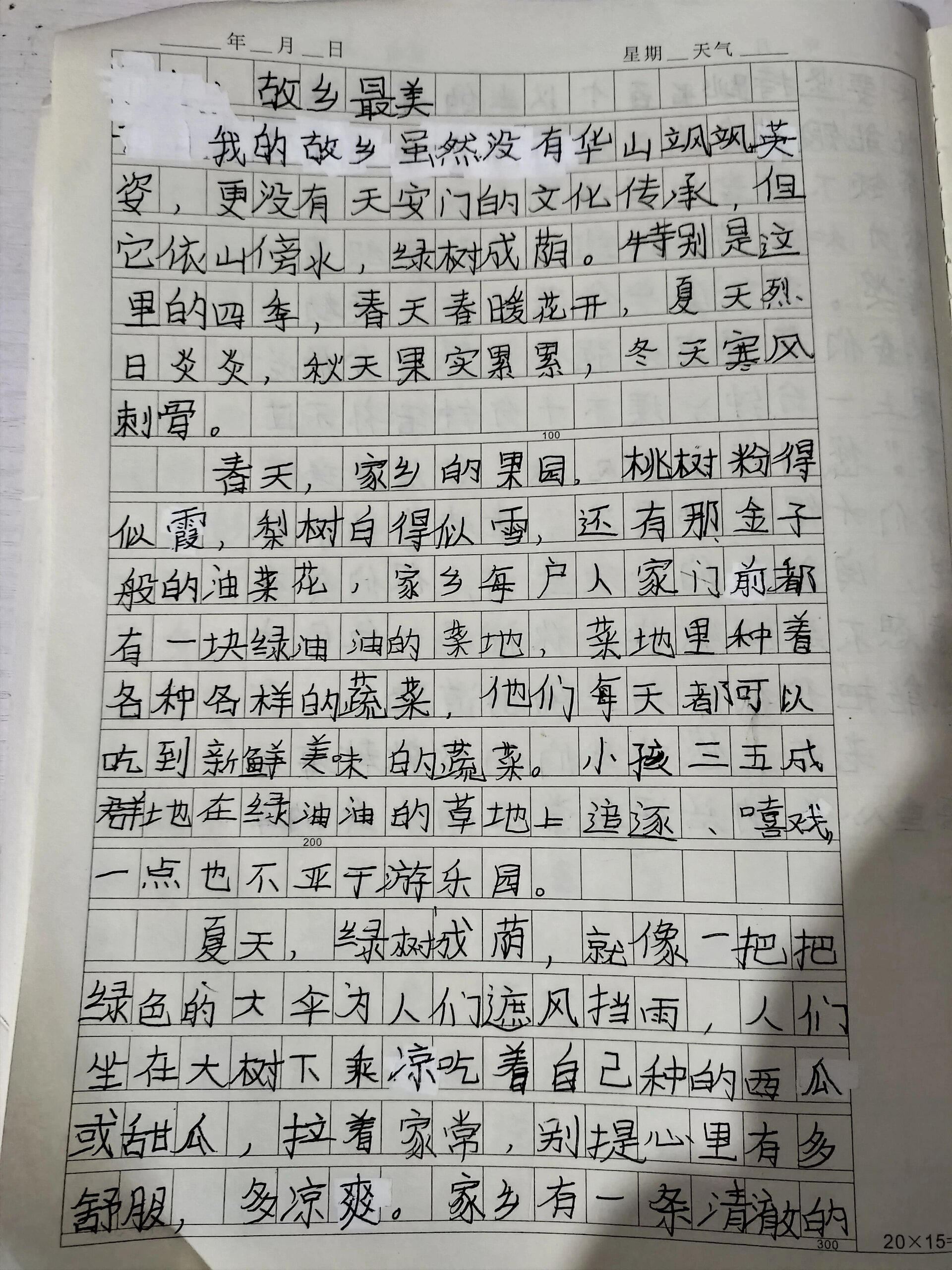 美丽的家乡作文300字