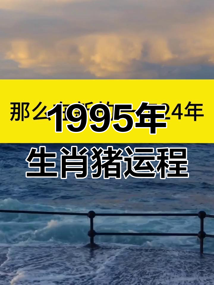 1995年属猪是什么命