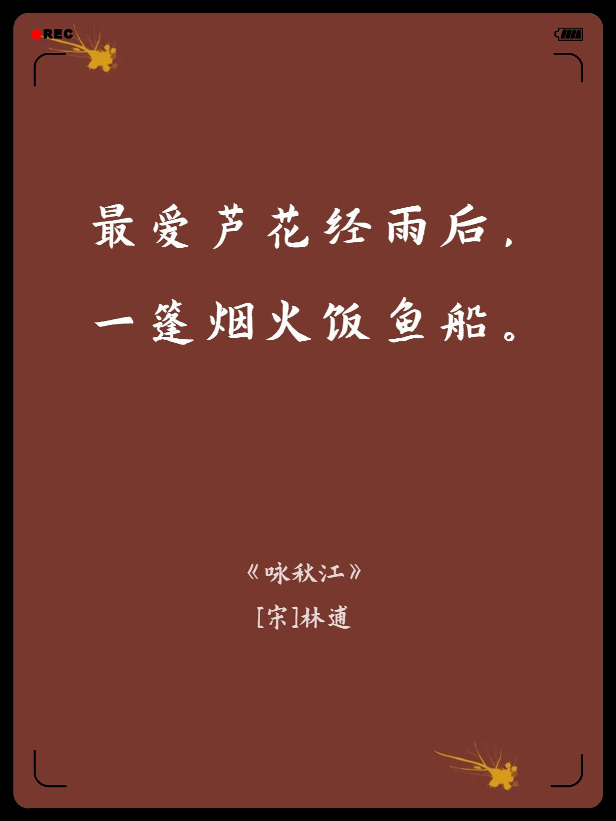 芦苇的诗句赞美芦苇的诗词有哪些