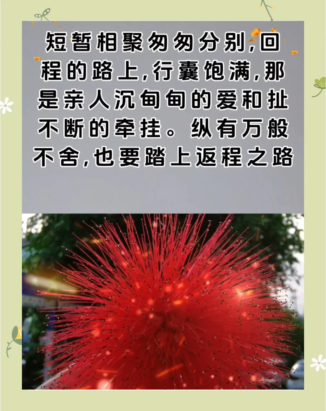 相聚总是短暂的句子亲情