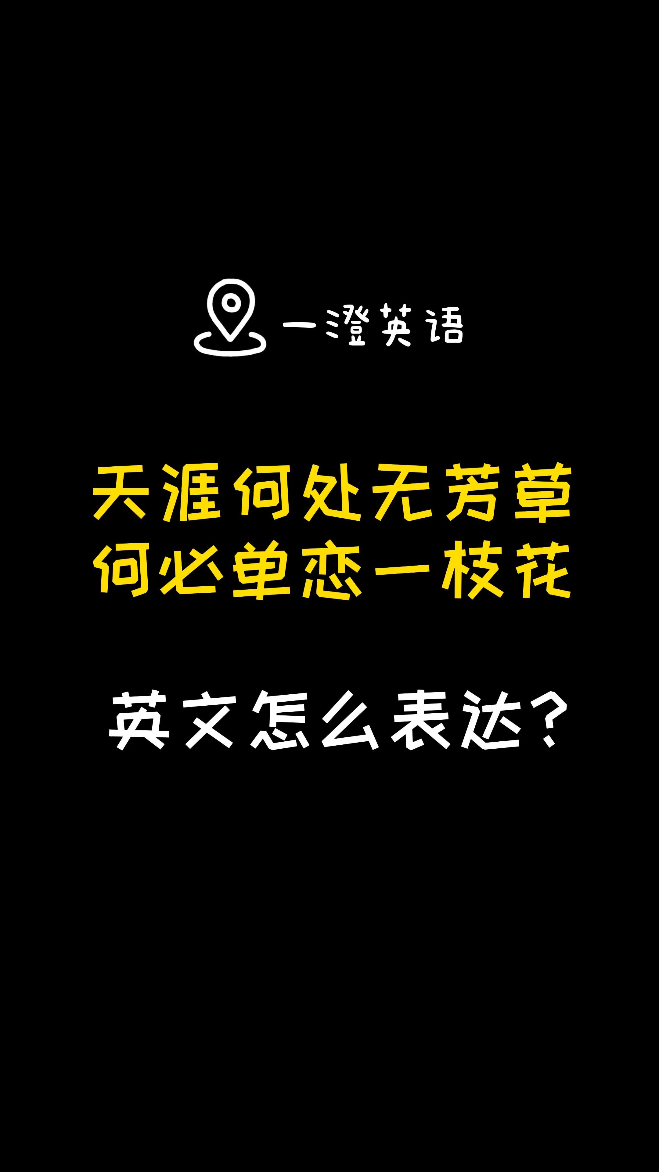 天涯何处无芳草何必单恋一支花的含义是什么