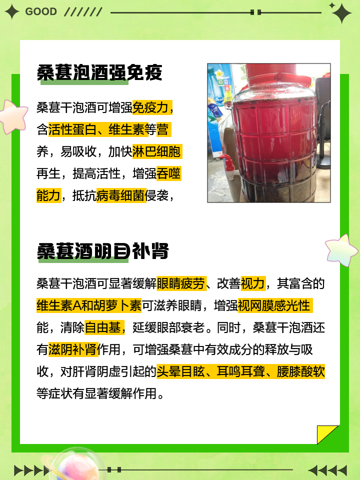 泡桑葚酒的制作方法简单介绍