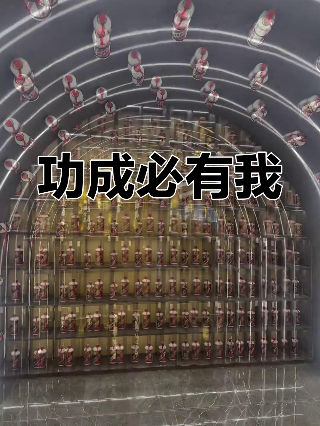 功成不必在我,功成必定有我是啥意思？