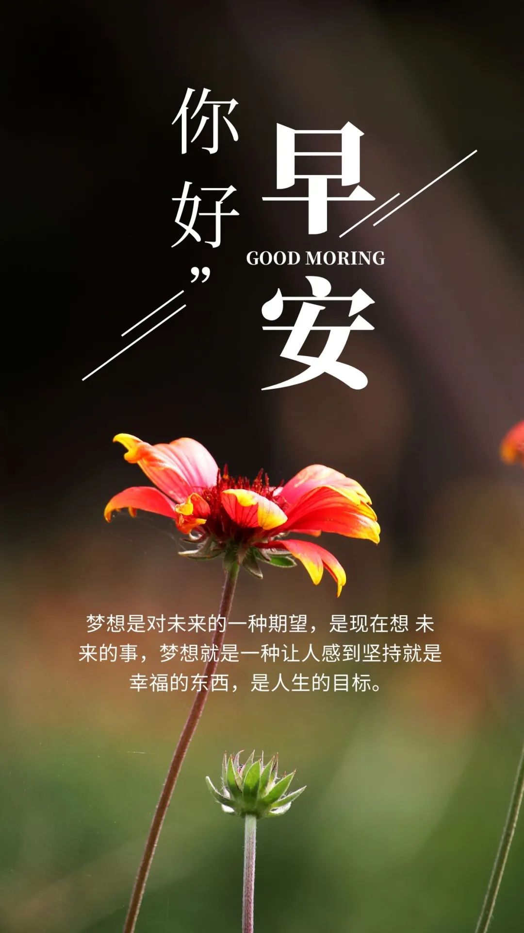 积极向上阳光励志短语