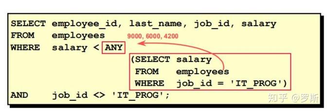 lastname是什么意思