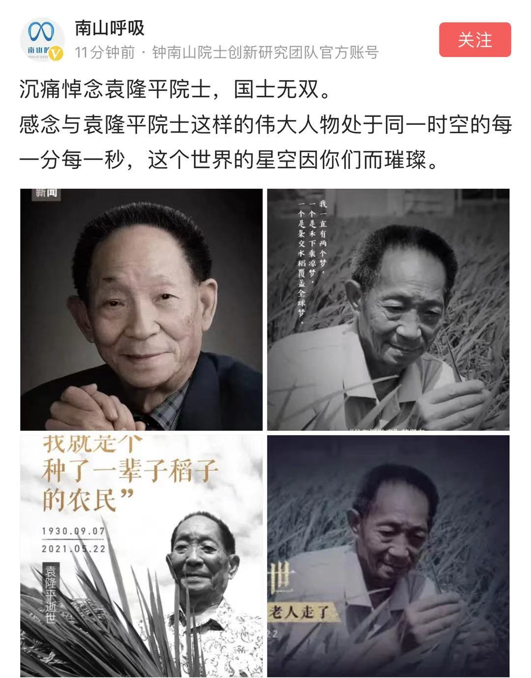 袁隆平的主要事迹内容简介