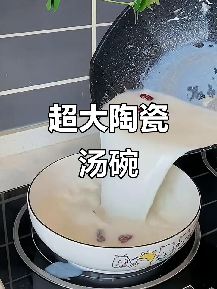 普通瓷碗能不能放入烤箱