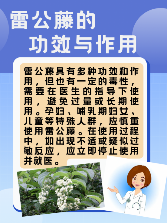 雷公藤多甙片是激素吗