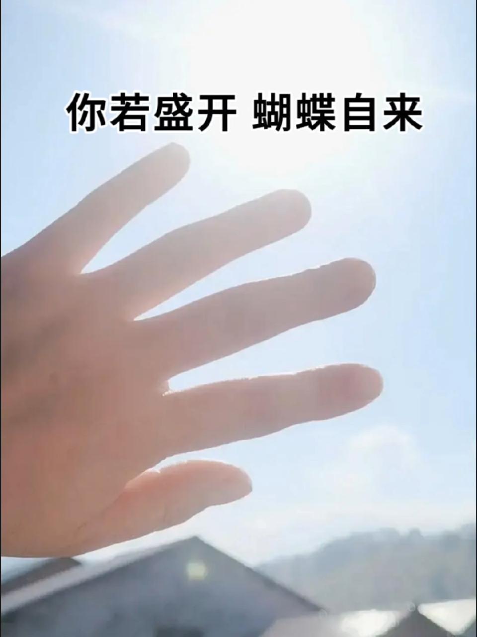 你若盛开蝴蝶自来出自哪里