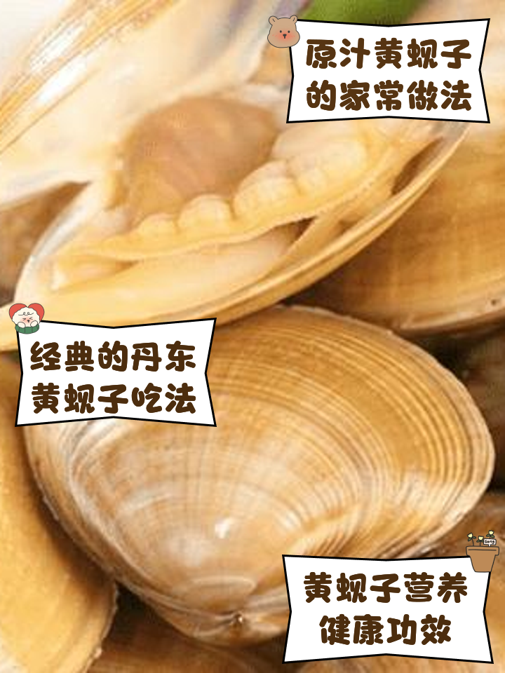 黄蚬子什么地方不可以吃