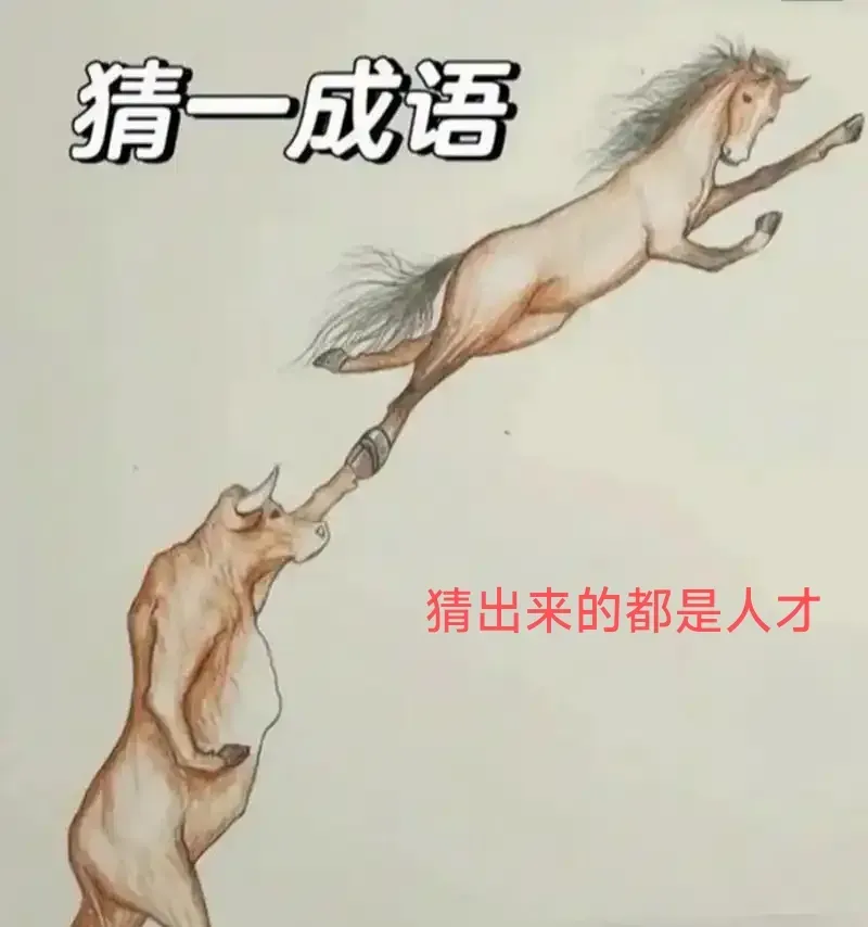 一个人骑着马旁边有好多人打一成语