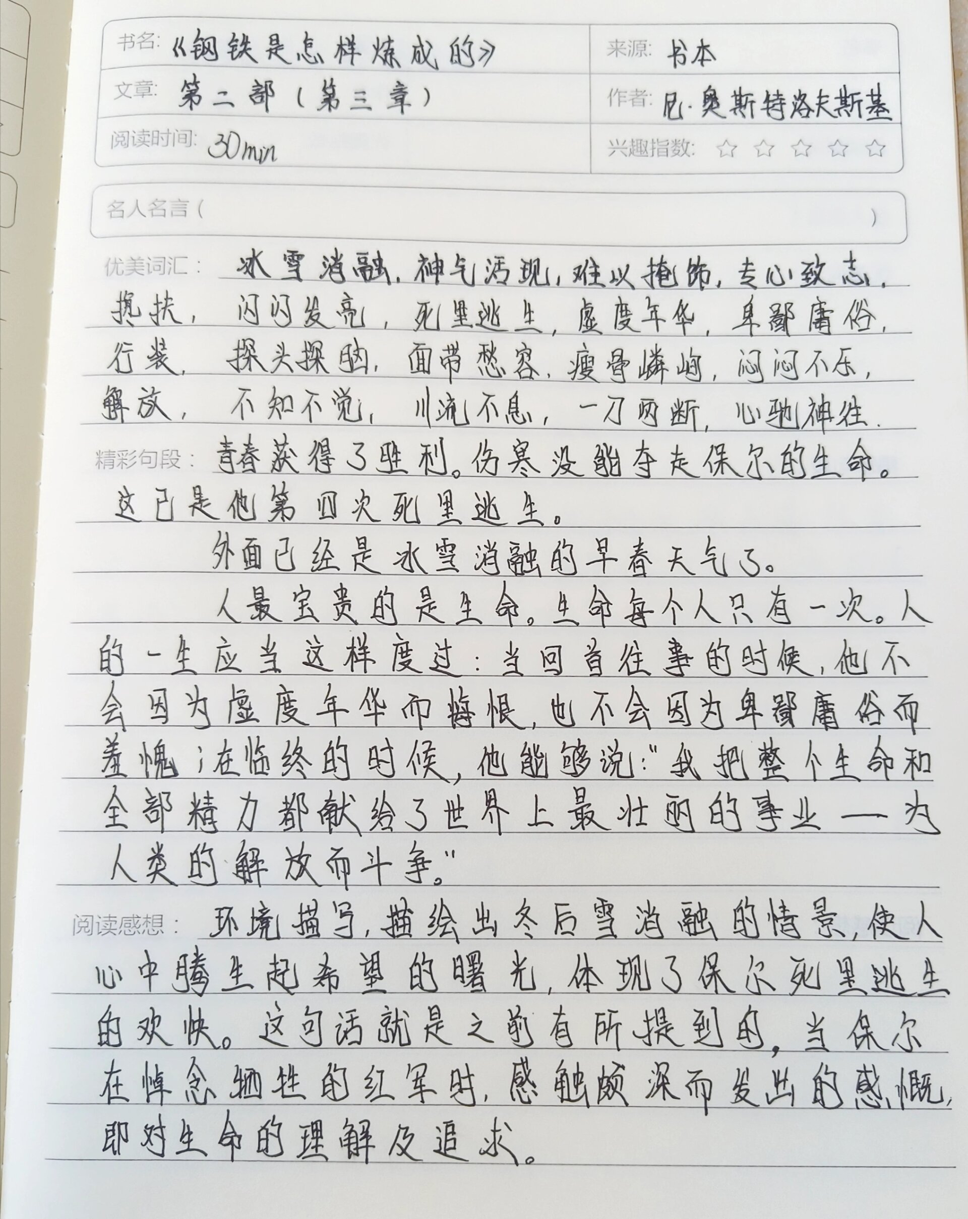 钢铁是怎样炼成的摘抄笔记