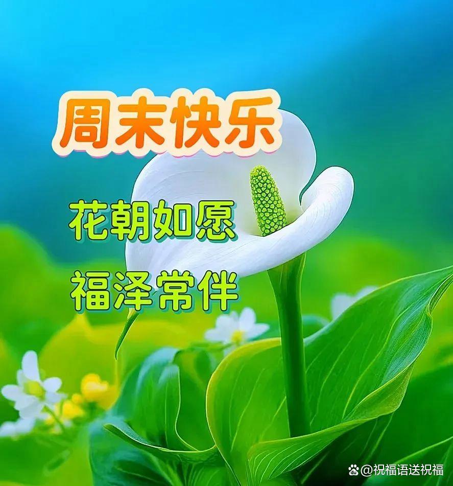 周末早上最温馨的祝福问候语