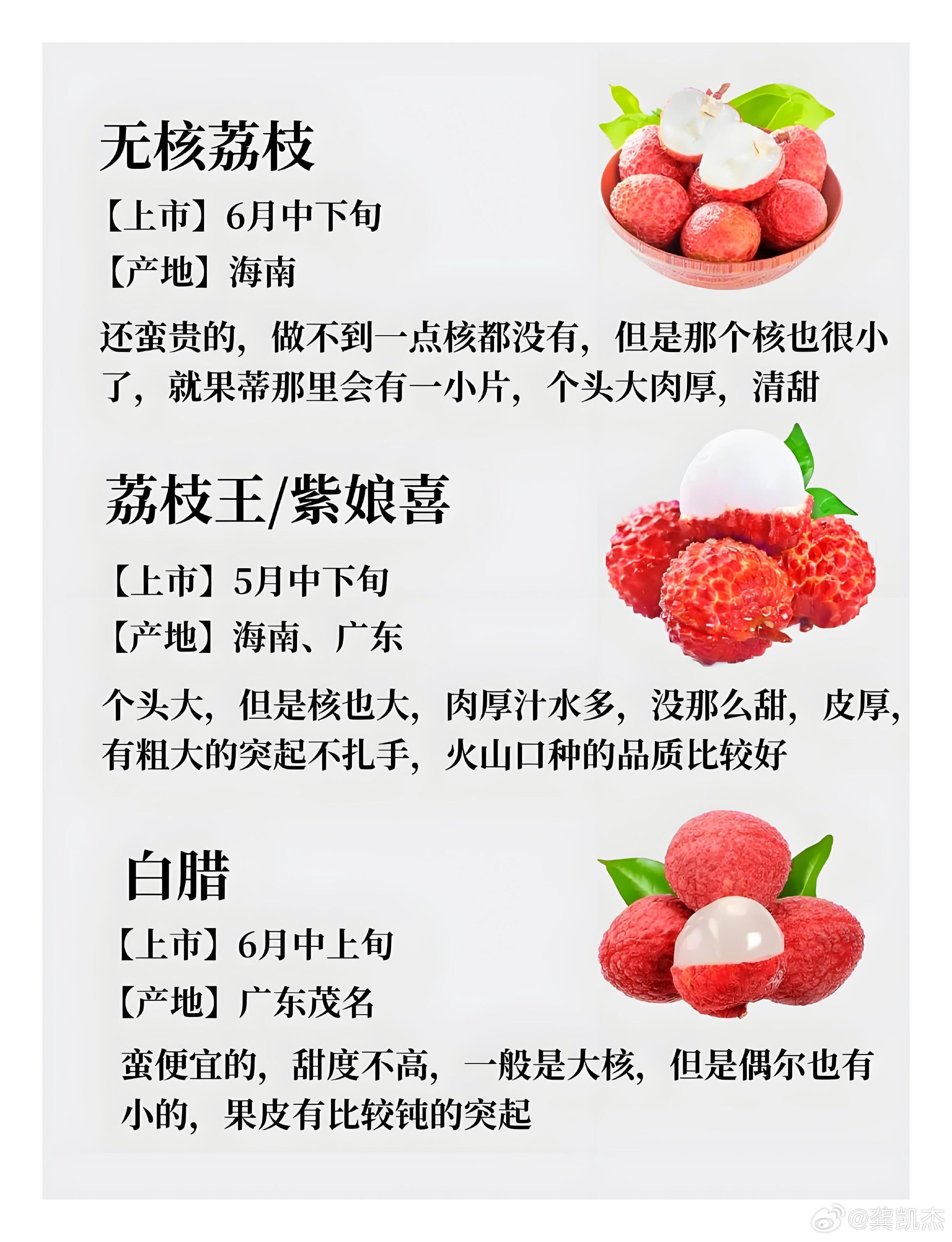 荔枝主要产地是什么地区