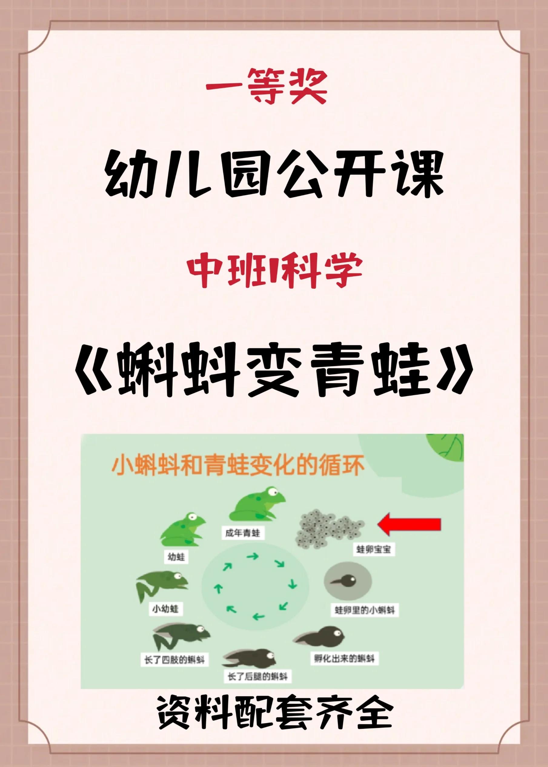 怎样养小蝌蚪小蝌蚪才不会死掉