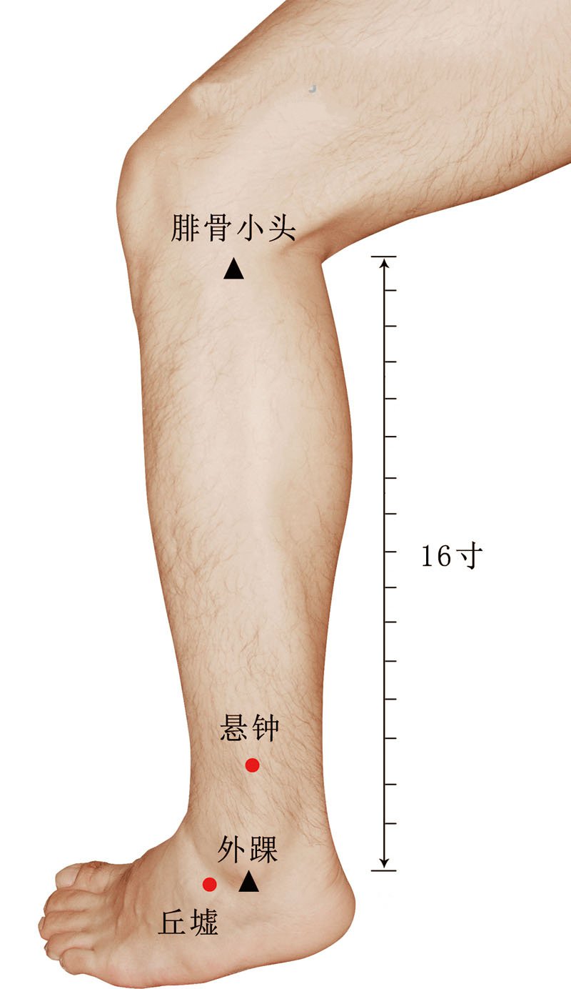 悬钟的准确位置在哪里?