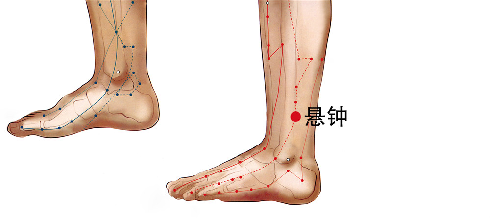 悬钟的准确位置在哪里?