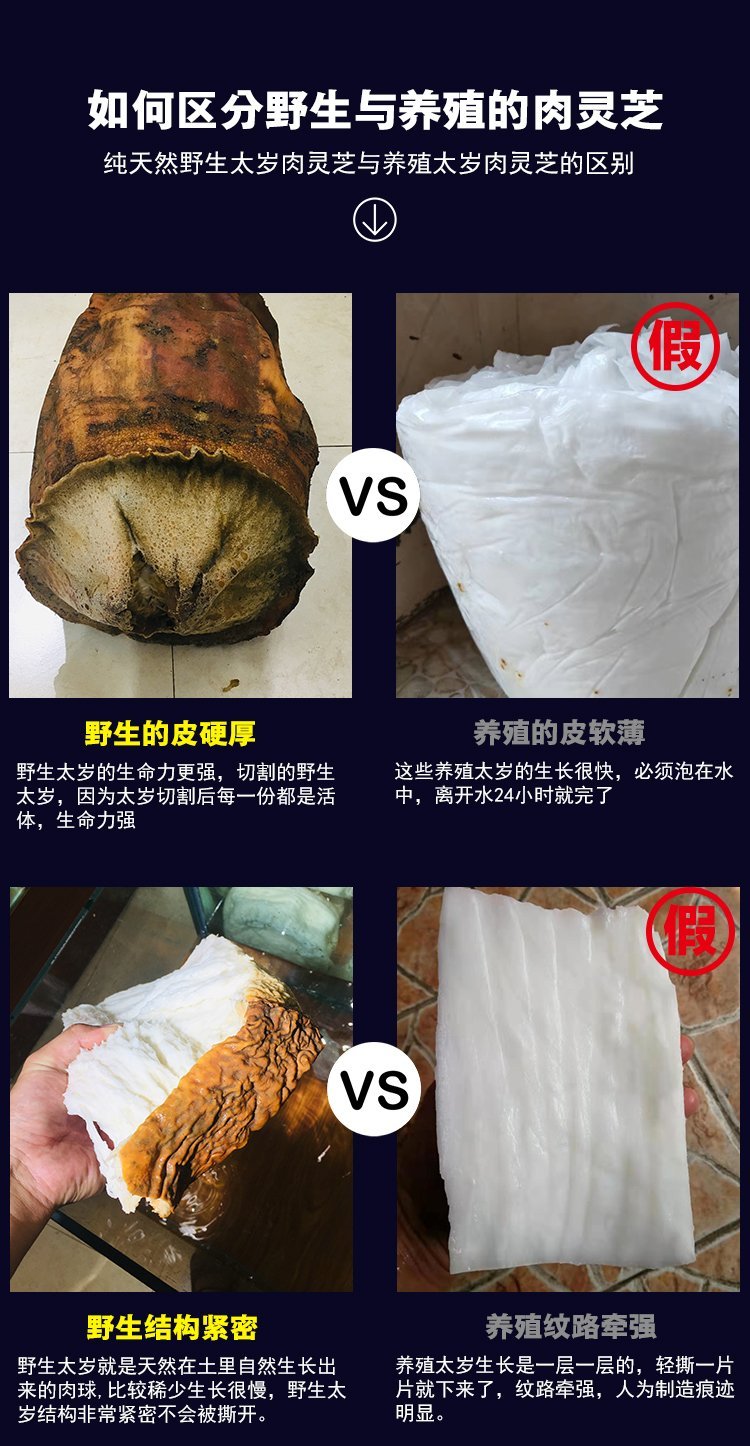 太岁的功效和作用是什么