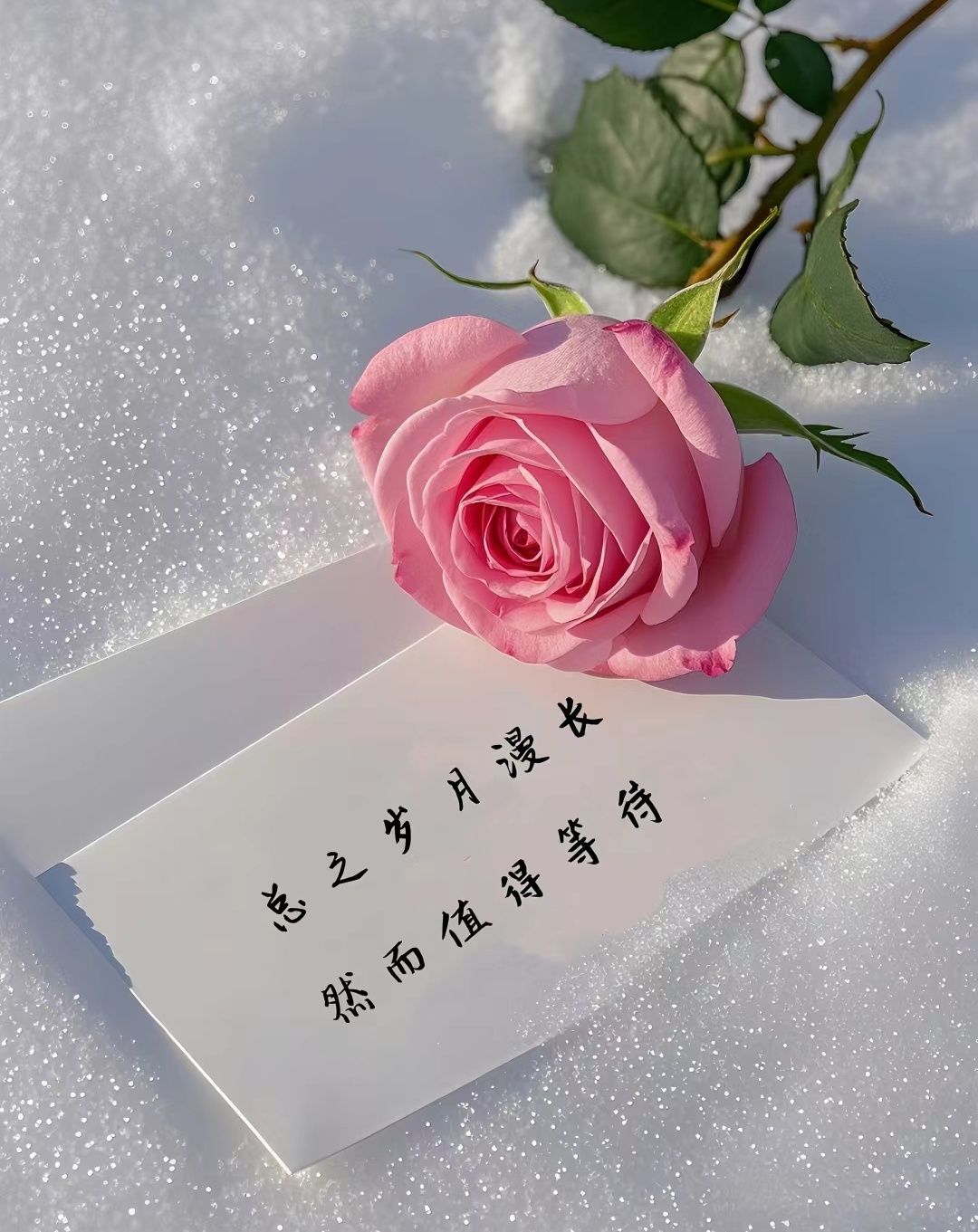 愿岁月温柔以待,不负流年的意思是什么？