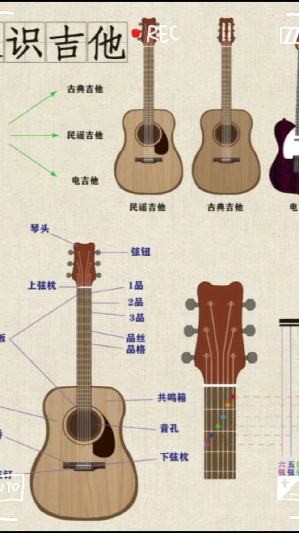古典吉他和电吉他哪个更难学点？
