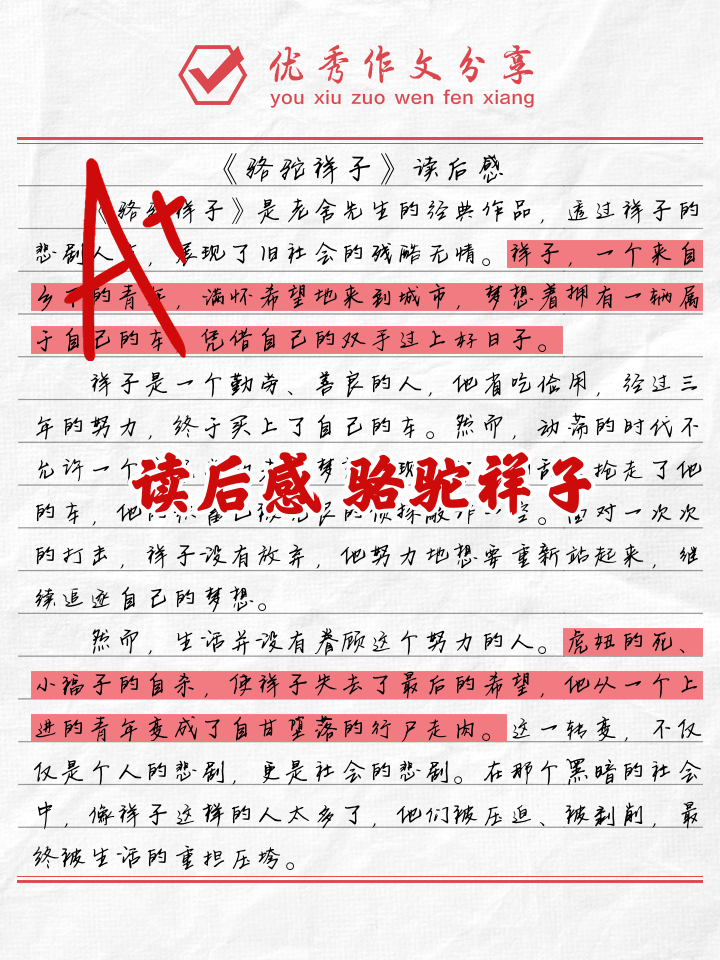《骆驼祥子》读后感400字