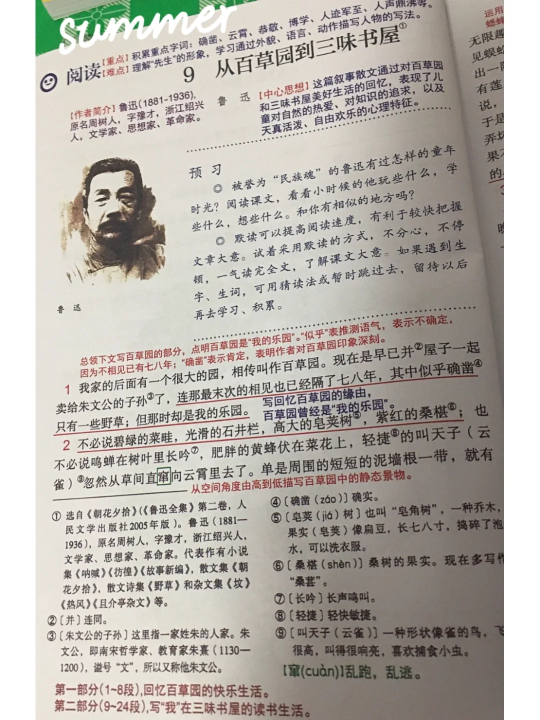 从百草园到三味书屋句子赏析