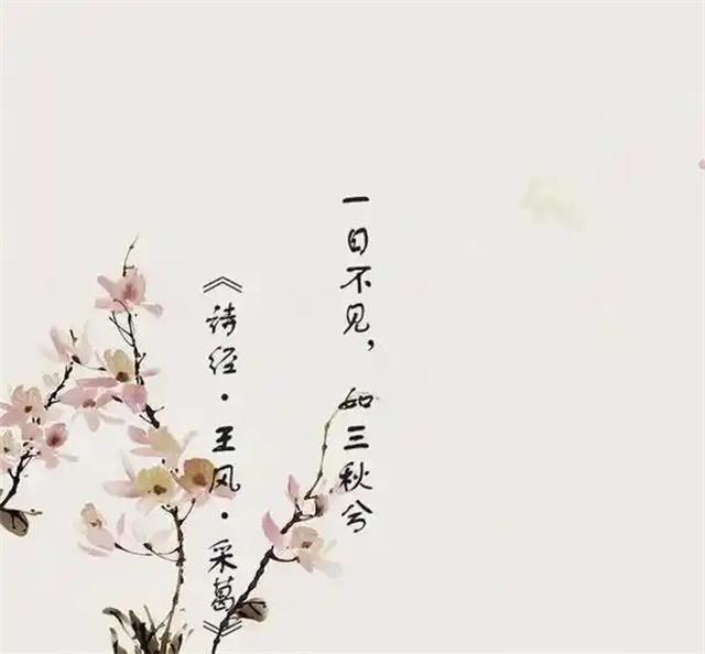 一日不见如隔三秋的意思是什么