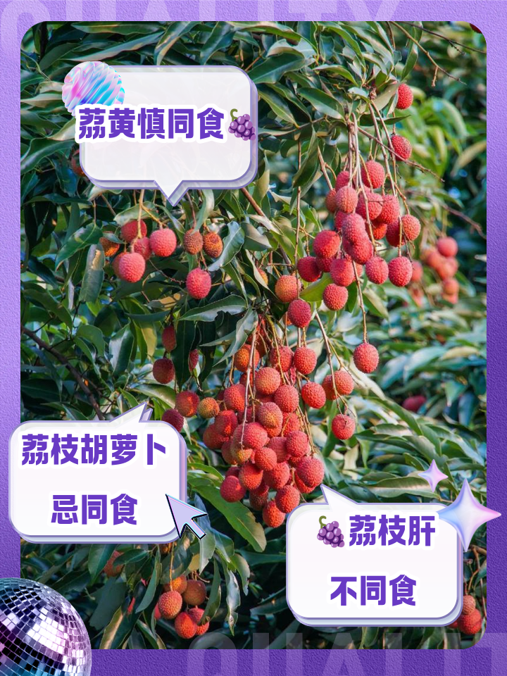 吃荔枝的好处和坏处是什么